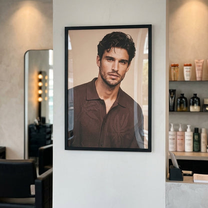 Poster Felix